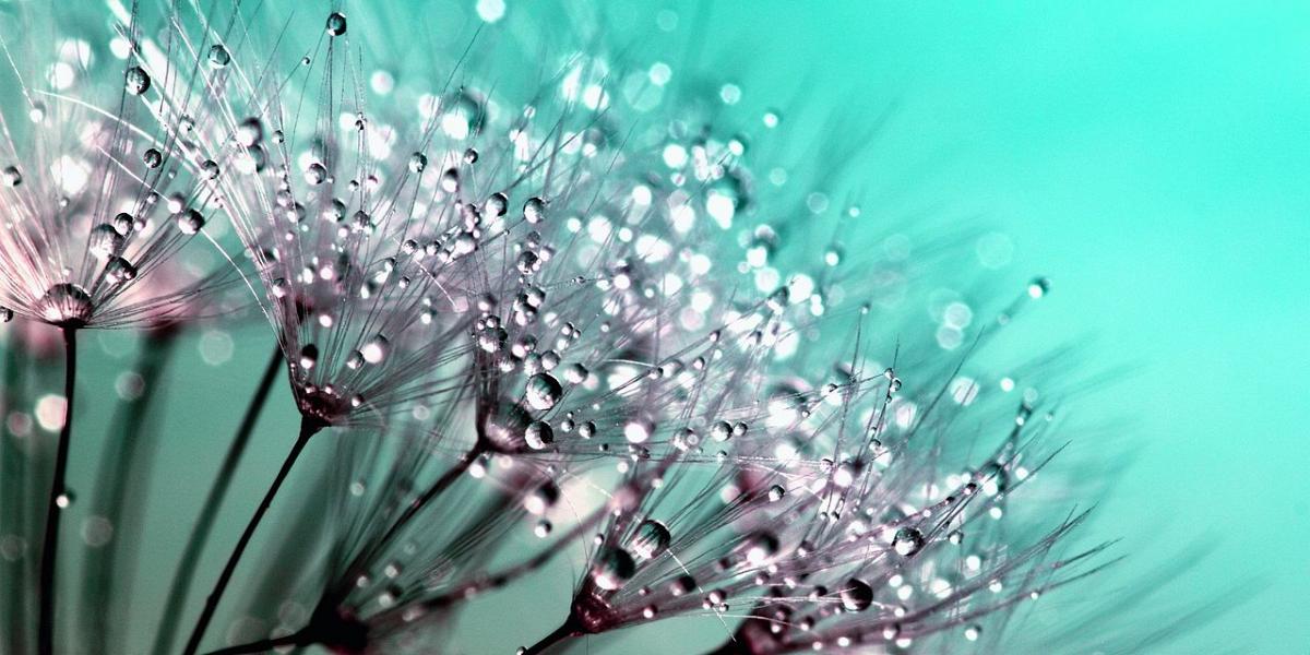 sophrologue certifiée, professionnel bien-être