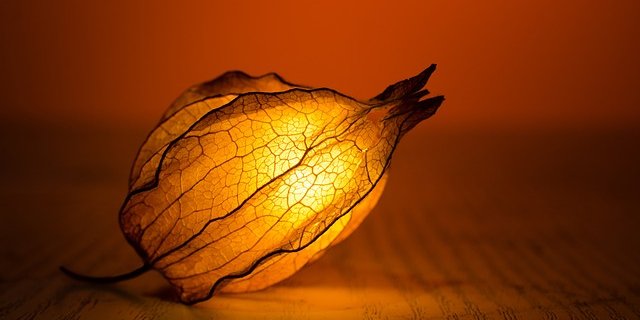 Séances individuelles, de groupe sur Saussan ou à domicile, secteur Montpellier ouest (Pignan, Saint Jean de Védas, Fabrègues, Saint Georges d'Orques, Lavérune, Cournonterral, Cournonsec)